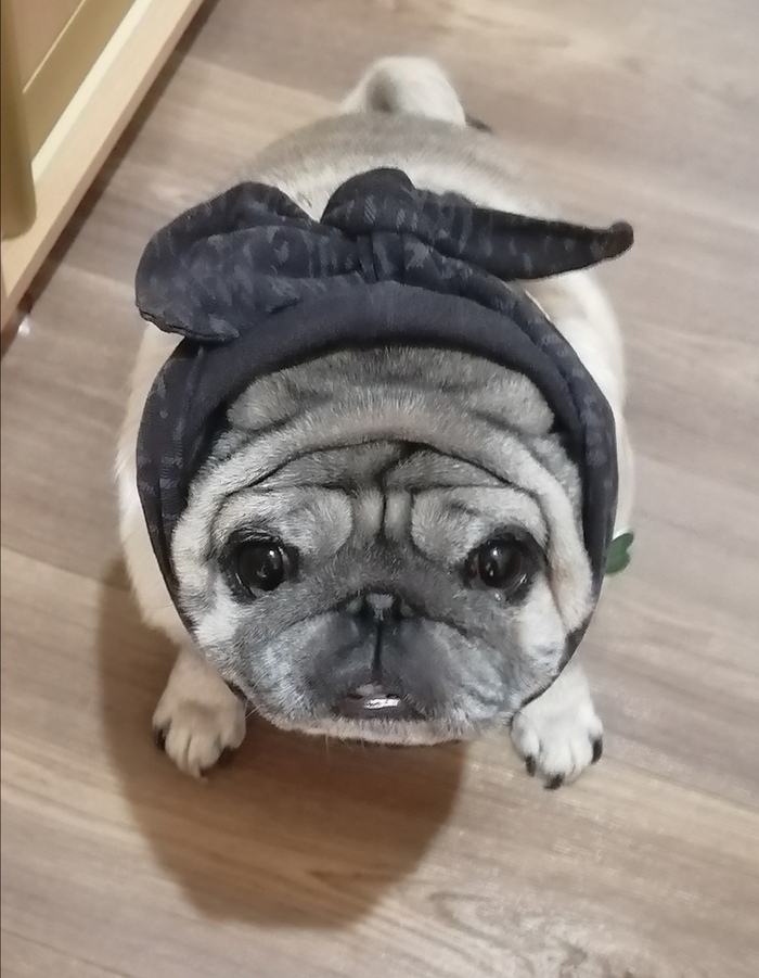 ����� ��� ������ �� ������