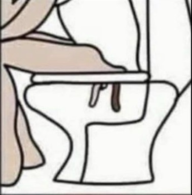 Драматический момент из жизни двуликого прокурора Сергея Самойлика Прокурор, Длиннопост, Туалетный юмор