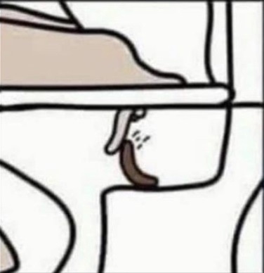 Драматический момент из жизни двуликого прокурора Сергея Самойлика Прокурор, Длиннопост, Туалетный юмор