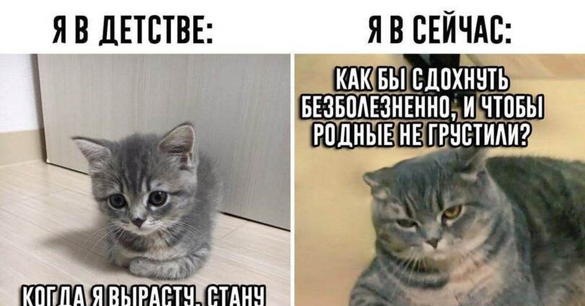 Окей тогда