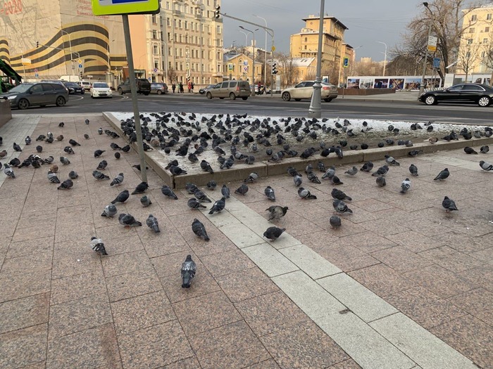 МИТИНГ ПРОТИВ СОЛЁНЫХ СЕМЕЧЕК