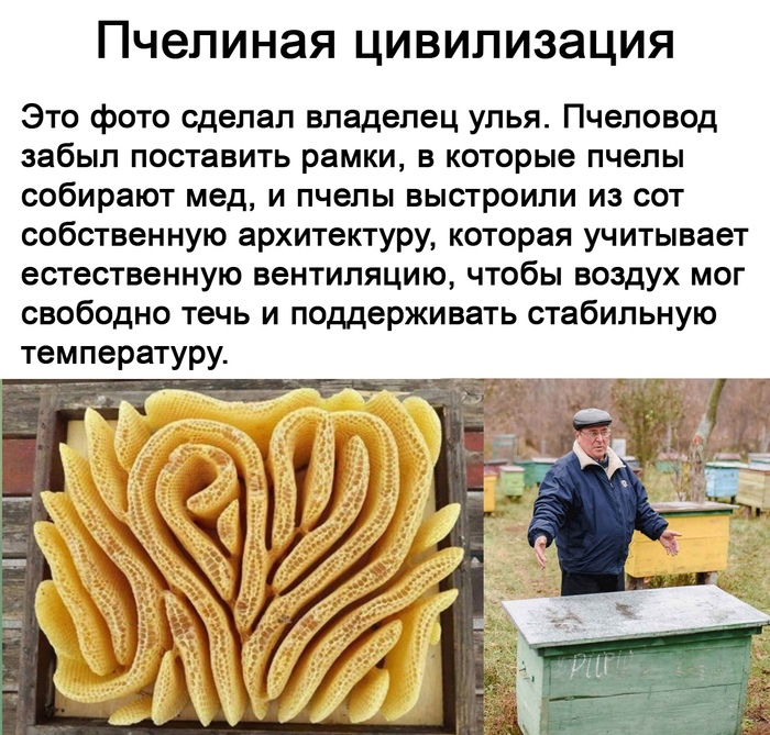 ������� ����