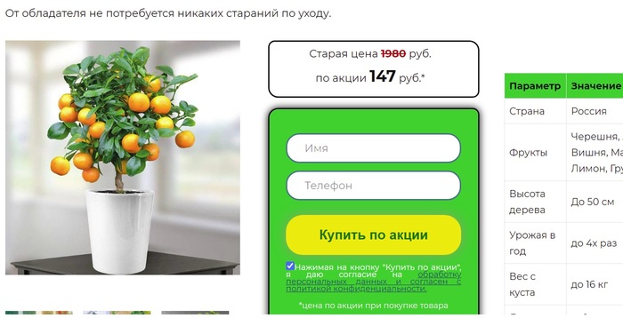 Как сделать левый чек сбербанк
