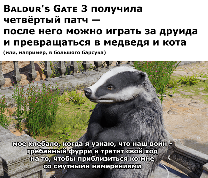 , , ! Baldurs Gate 3, Dungeons & Dragons, ,  