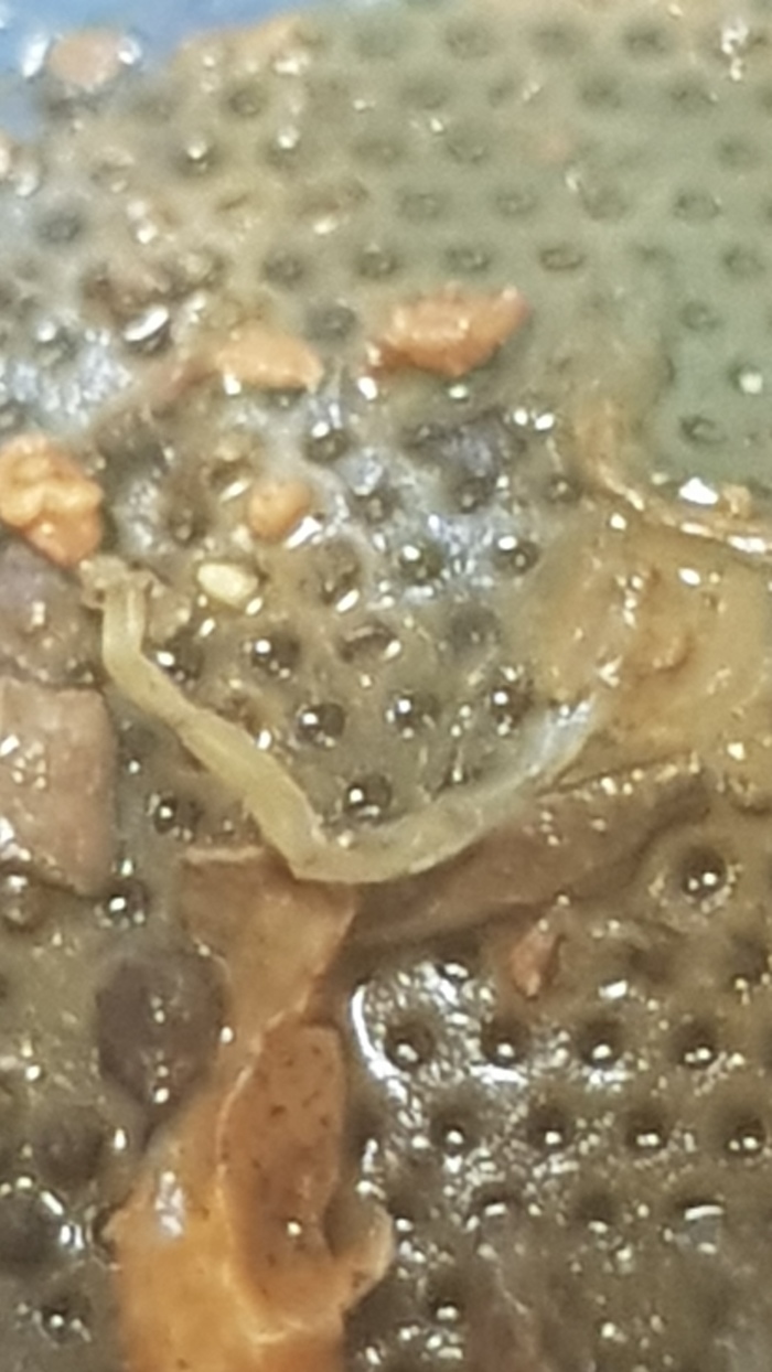 можно ли менять водяные счетчики самому