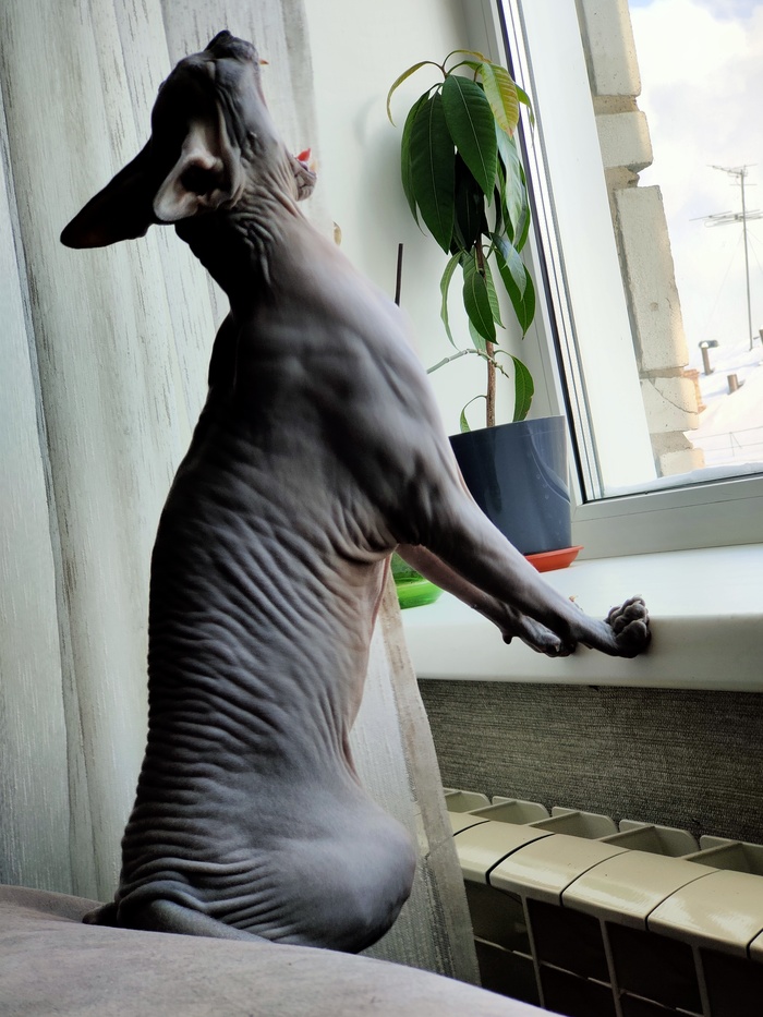 А как проходят ваши выходные?