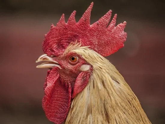 �������� ����� � ����� ���� ������� �� ������� ����