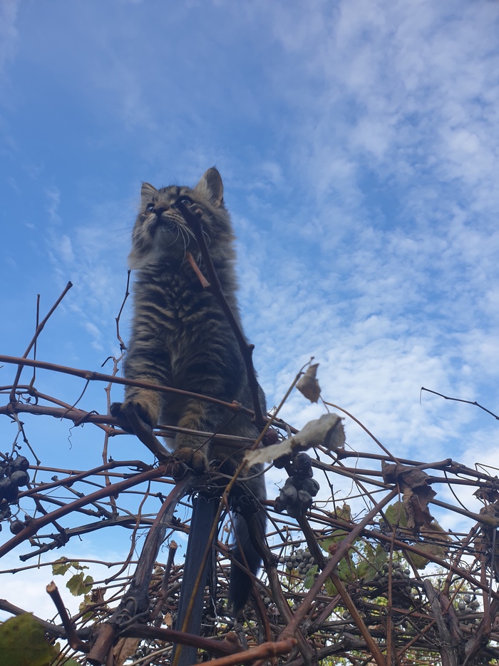 ����� ���!