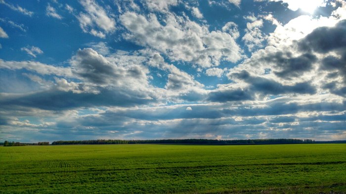 ��� ���� �������������