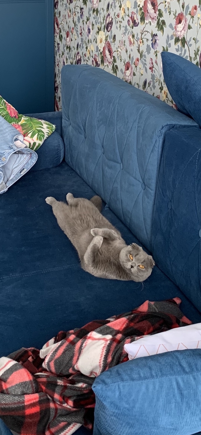  ,   , , , , ,   