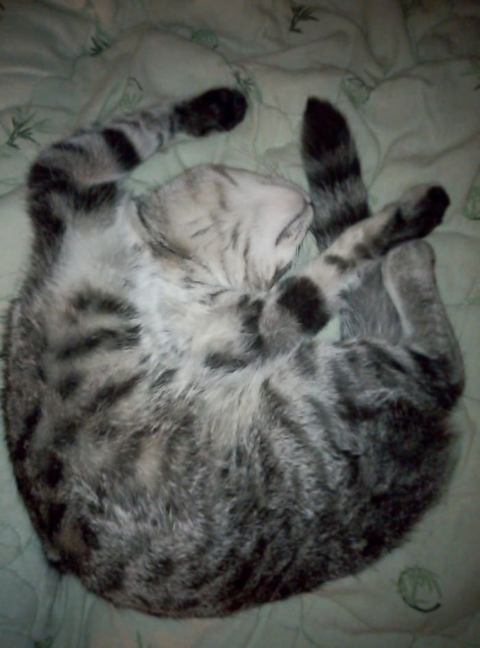 Загогулина))