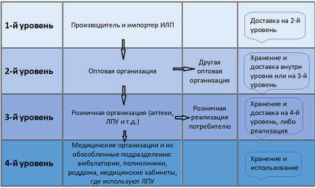 Совместное хранение иммунобиологических лекарственных препаратов с другими. Расположение вакцин в холодильнике по полкам схема по санпину. хранение вакцин. расположение вакцин в холодильнике по полкам схема. размещение вакцин в холодильнике схема.