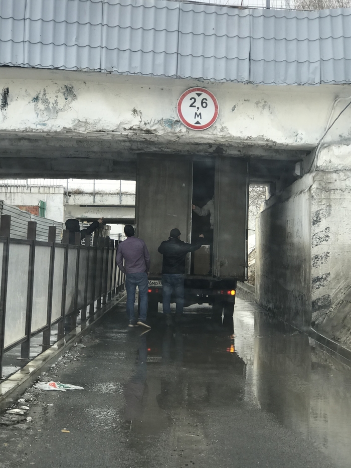 Новый мост глупости