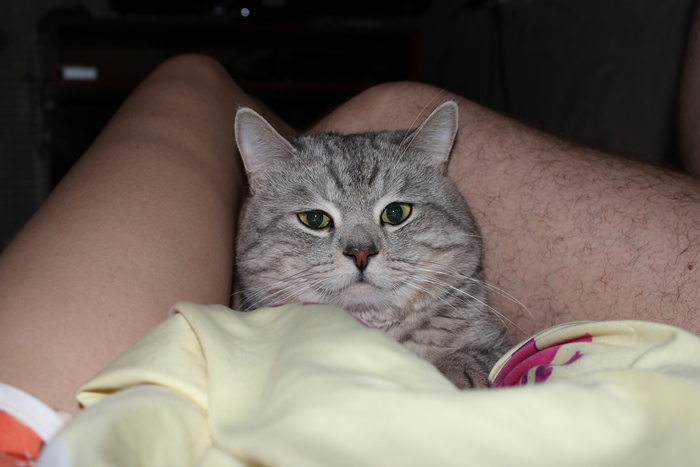 ����� ����� ���