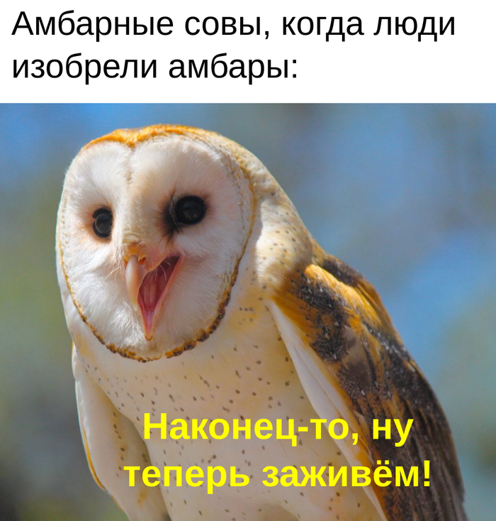 И правда, как они справлялись до этого?