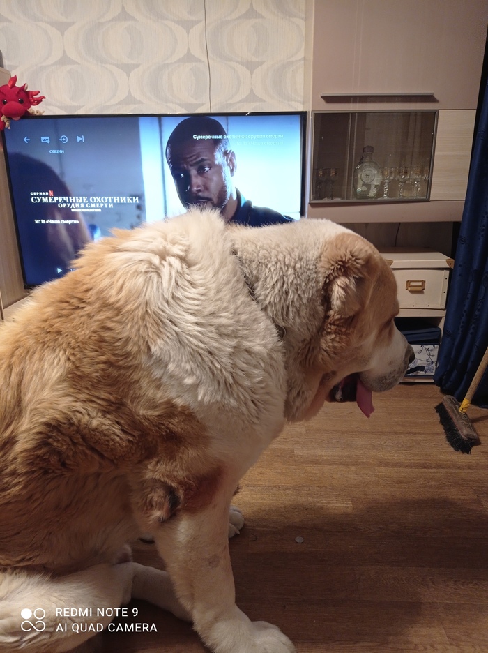 Ищу таблетки римадил 100мг Казань