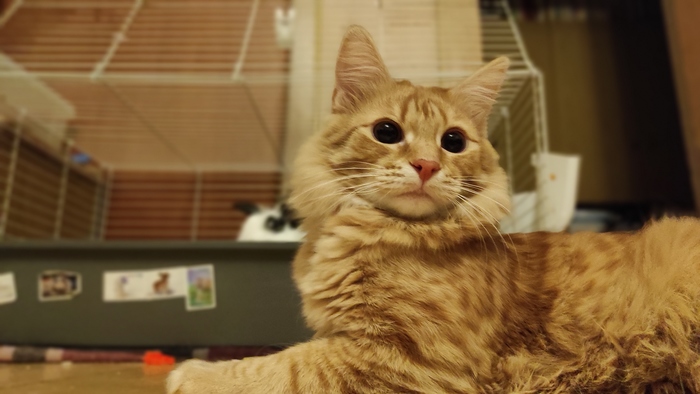 ���������...