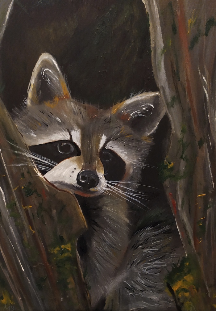 ������ ������