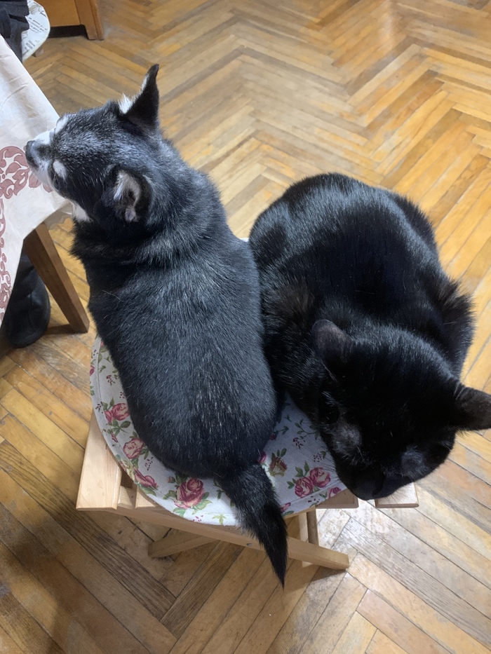 ��� � ���