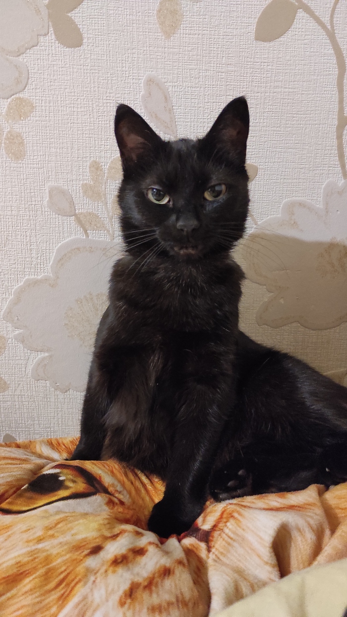 ��� �, ��� �...