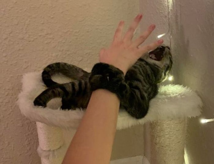 Оьсминожный монстр