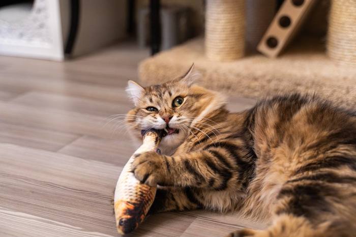 И только ты рыба моей мечты...