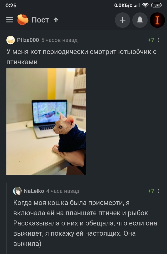    , , , , 