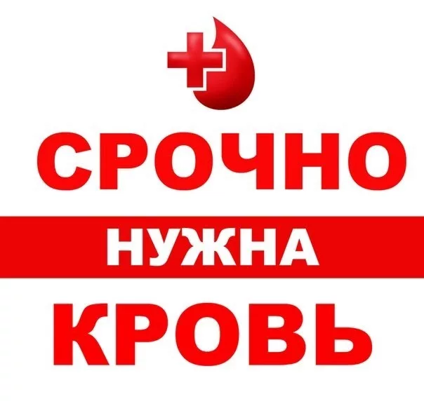 ������ ������ ����