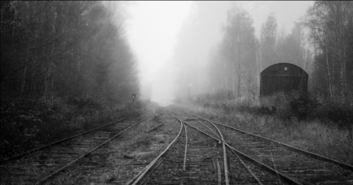 Это забытое старое серое. Рельсы в тумане. Мрачная железная дорога. Мрачный поезд. Железная дорога мрак.