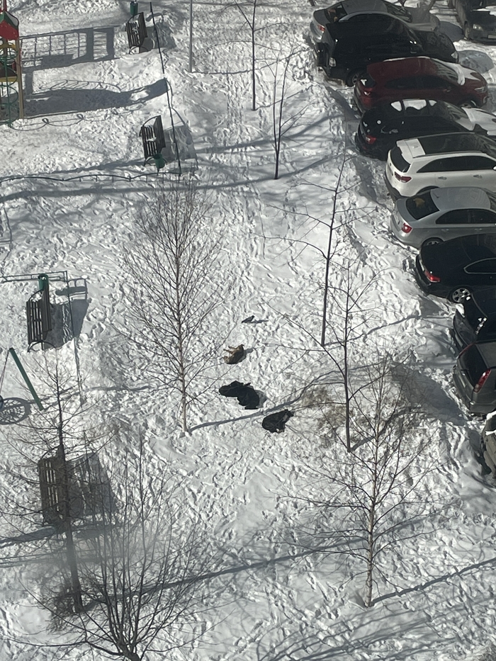 ���� ��� ������� �����!