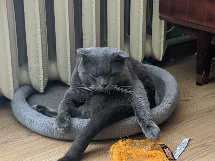 ������ ��������