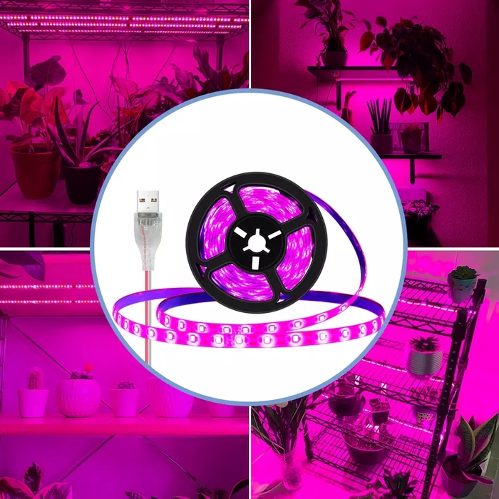       ,  , , , 