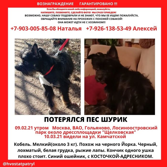 ���������� ������, ������, ���������