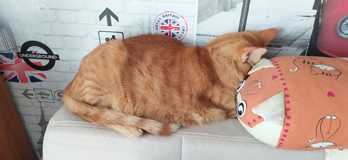 ���� ��������, � � ������