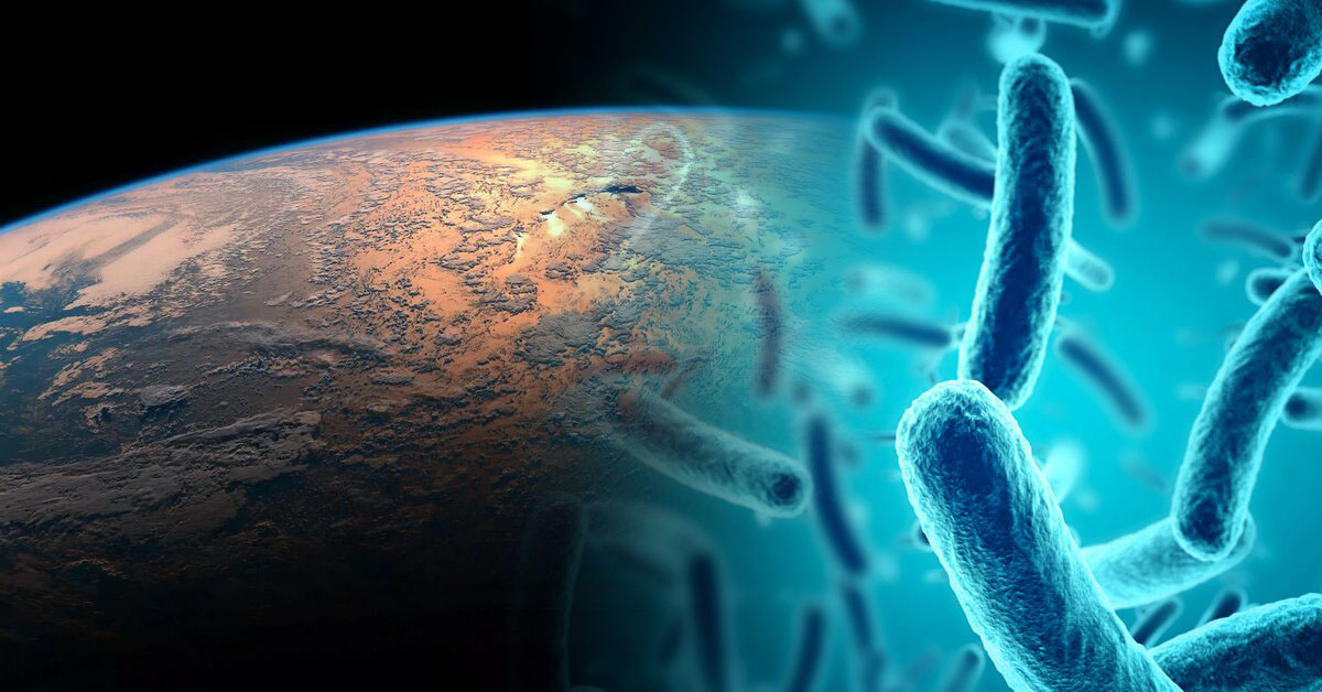 Земля без бактерий. Микроорганизмы в земле. Первые бактерии. Бактерии из космоса. Первые микроорганизмы на земле.