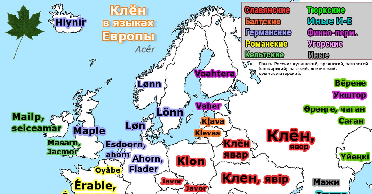 Слова европейских языков. Карта языков России. Языки России карта. Языки Европы карта. Группы языков Европы.