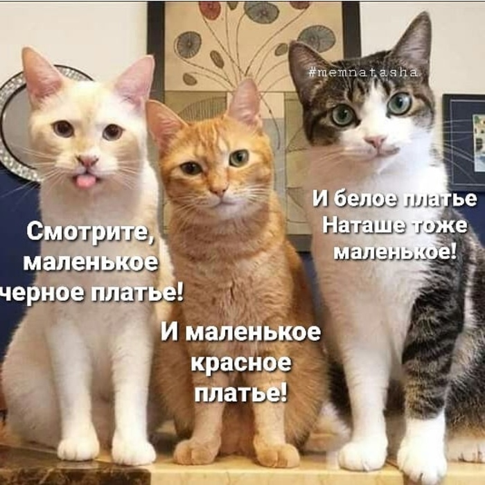 Маленькое чёрное платье