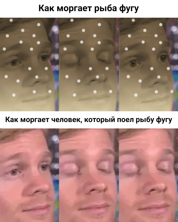 мем с рыбой фугу щурится. 1615814974150323477. мем с рыбой фугу щурится фото. мем с рыбой фугу щурится-1615814974150323477. картинка мем с рыбой фугу щурится. картинка 1615814974150323477. Простите, но меня прет мем с этим чуваком