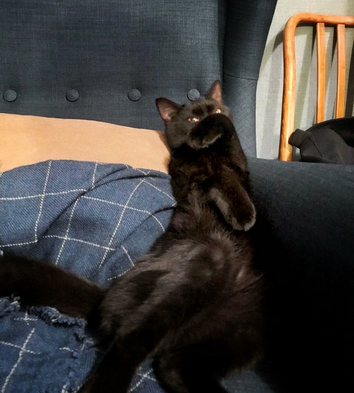 � ���� ����