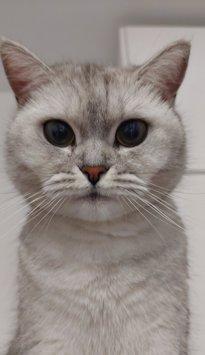 ���� �� �������