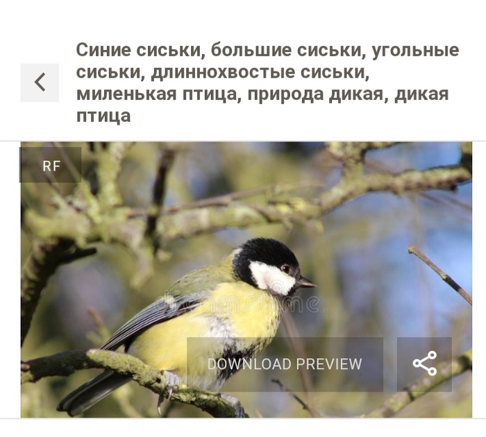 фото с днем радио. Смотреть фото фото с днем радио. Смотреть картинку фото с днем радио. Картинка про фото с днем радио. Фото фото с днем радио