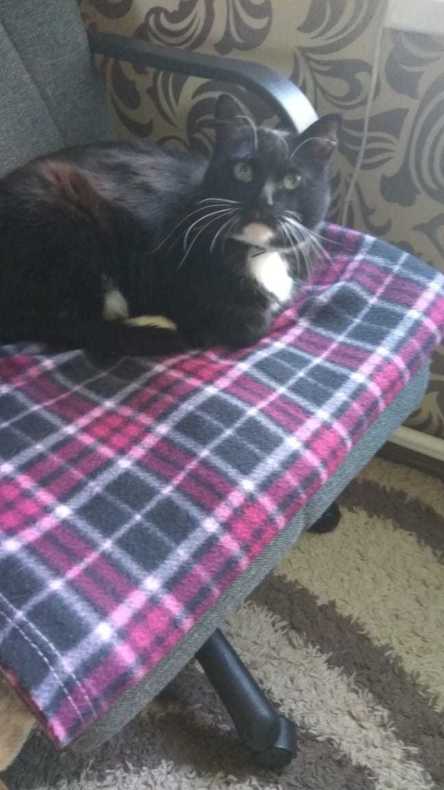 Хороший подарок, но кому?