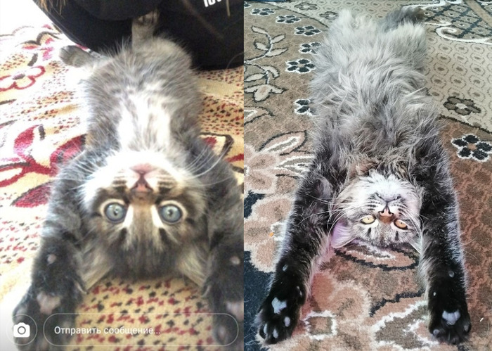 Тимофей год спустя ^_^