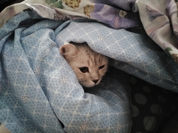 ����� � �����