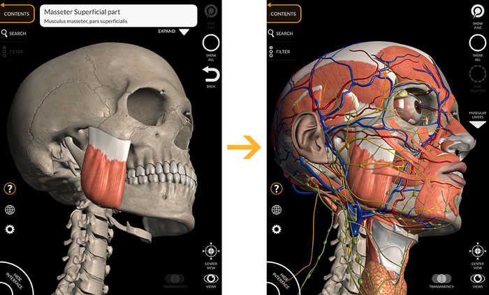 вот что будет если юмор объединить с 3d графикой. Смотреть фото вот что будет если юмор объединить с 3d графикой. Смотреть картинку вот что будет если юмор объединить с 3d графикой. Картинка про вот что будет если юмор объединить с 3d графикой. Фото вот что будет если юмор объединить с 3d графикой