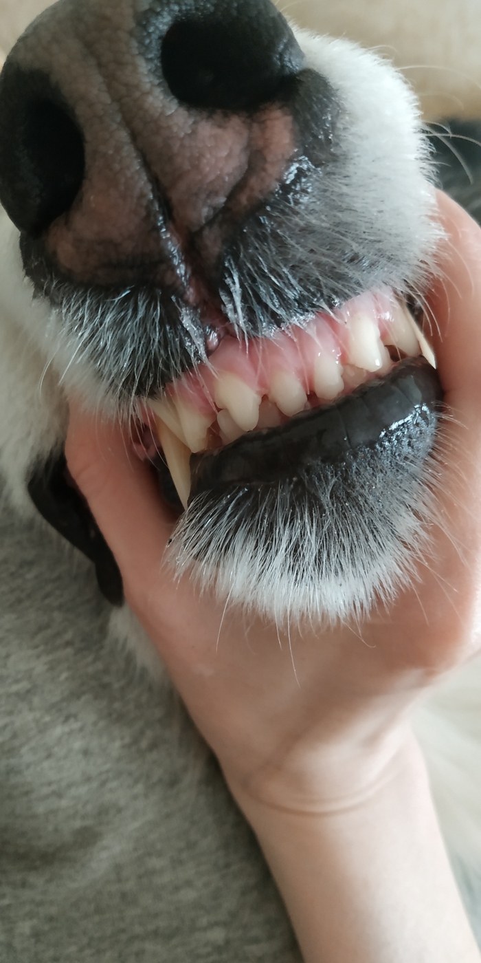 ������������