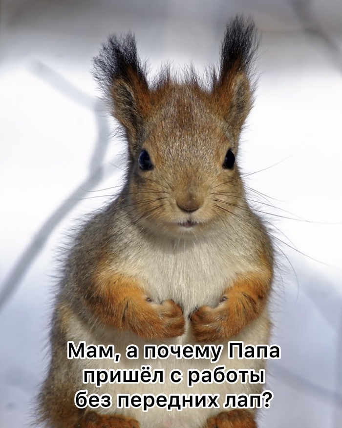   ... , , , , 