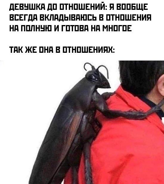  "   " , , ,   
