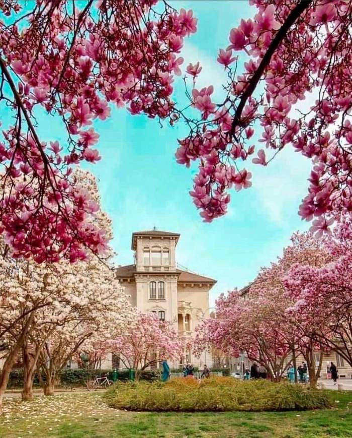 � ������ ������� ��������