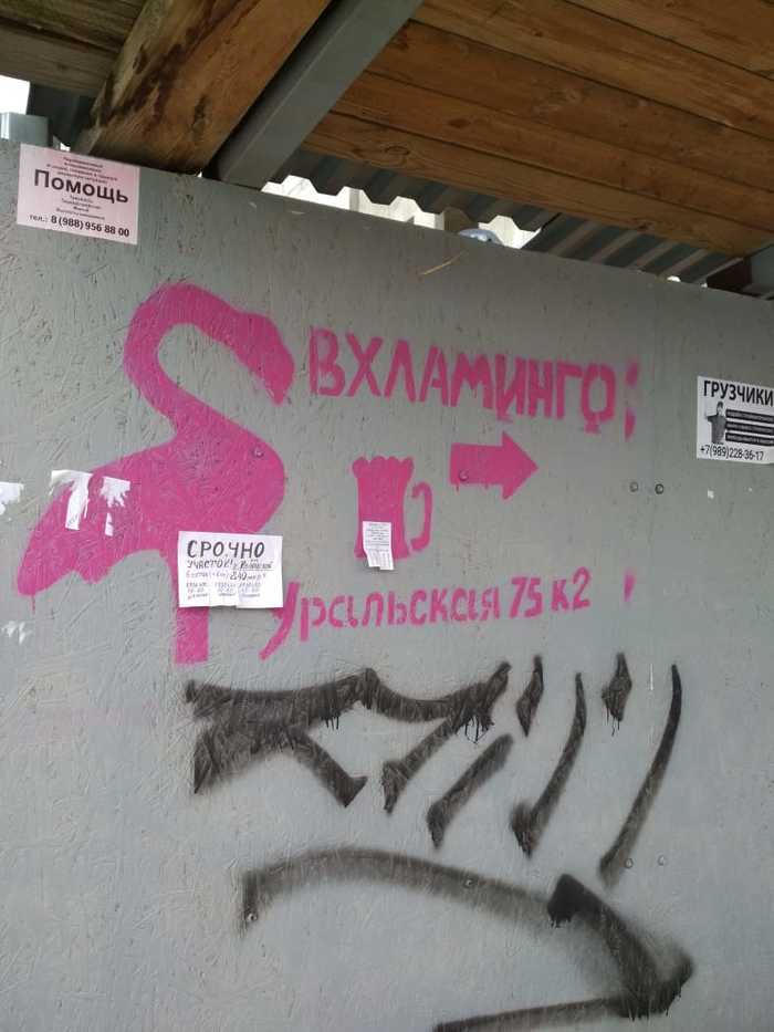 Экзотическая птичка